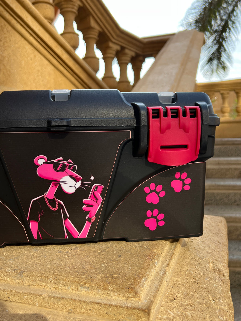 Pink Panther Toolbox Skin