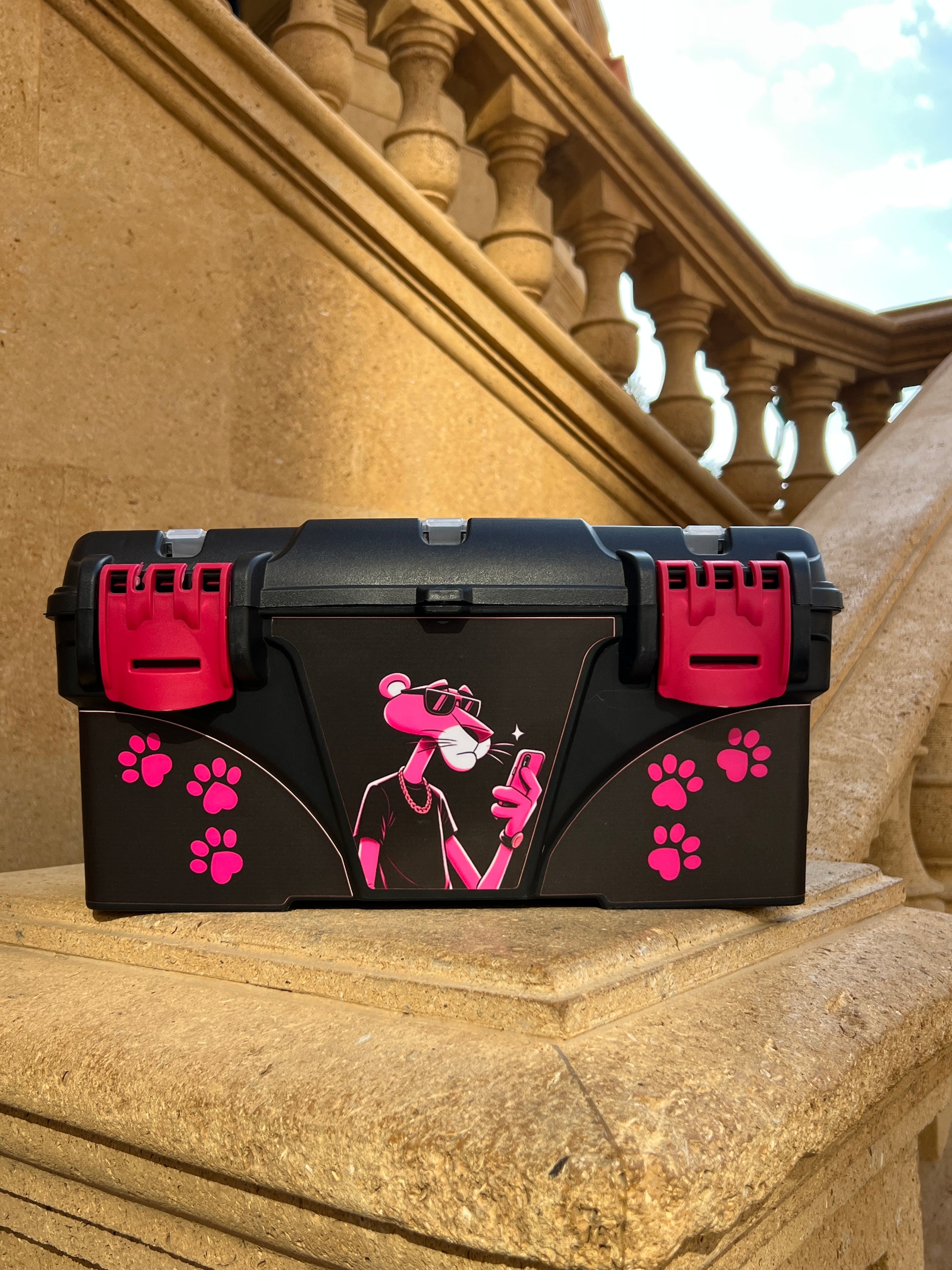 Pink Panther Toolbox Skin